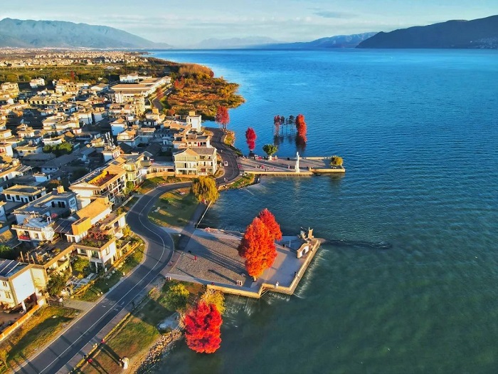 央視《焦點訪談》點贊集團洱海生態廊道項目