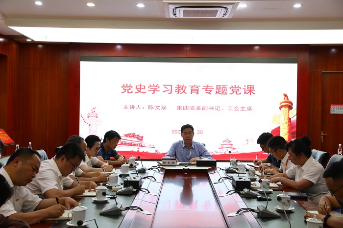 陳文雙講黨史學習教育專題黨課