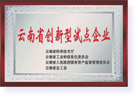 云南省創新型試點企業