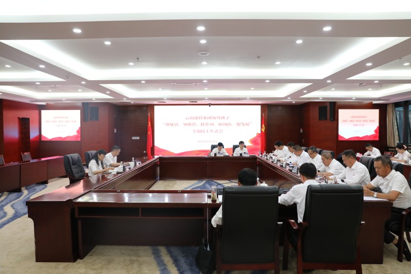 集團領導班子召開“講廉潔、知敬畏、轉作風、防風險、促發展”專題民主生活會