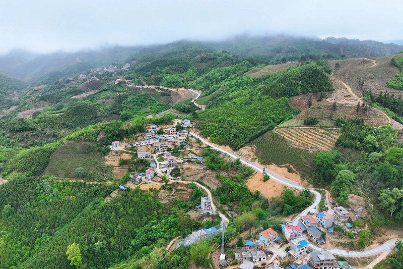 學習二十大 建功新時代丨廣南農村公路項目：家長里短幸福路 美麗鄉村新畫卷 