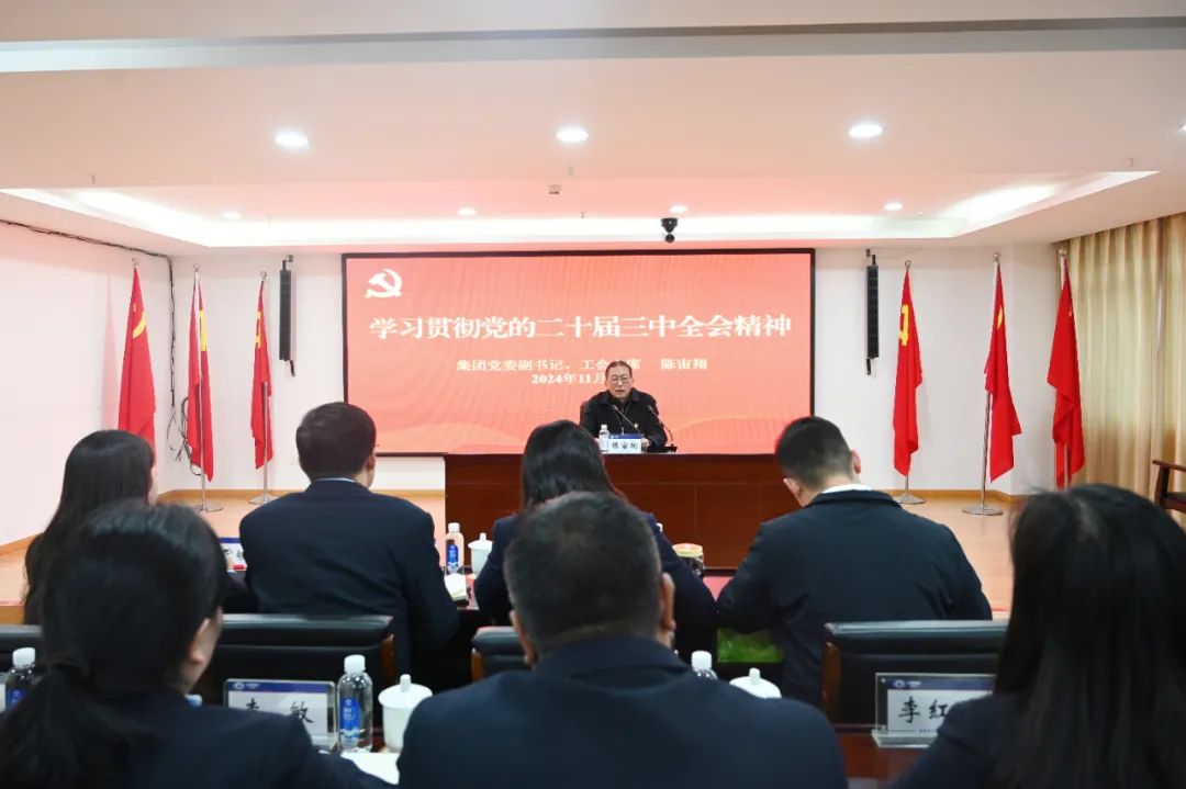 陳宙翔宣講黨的二十屆三中全會精神