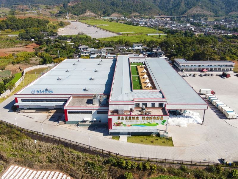 景東縣水果蔬菜基地基礎設施建設項目竣工驗收